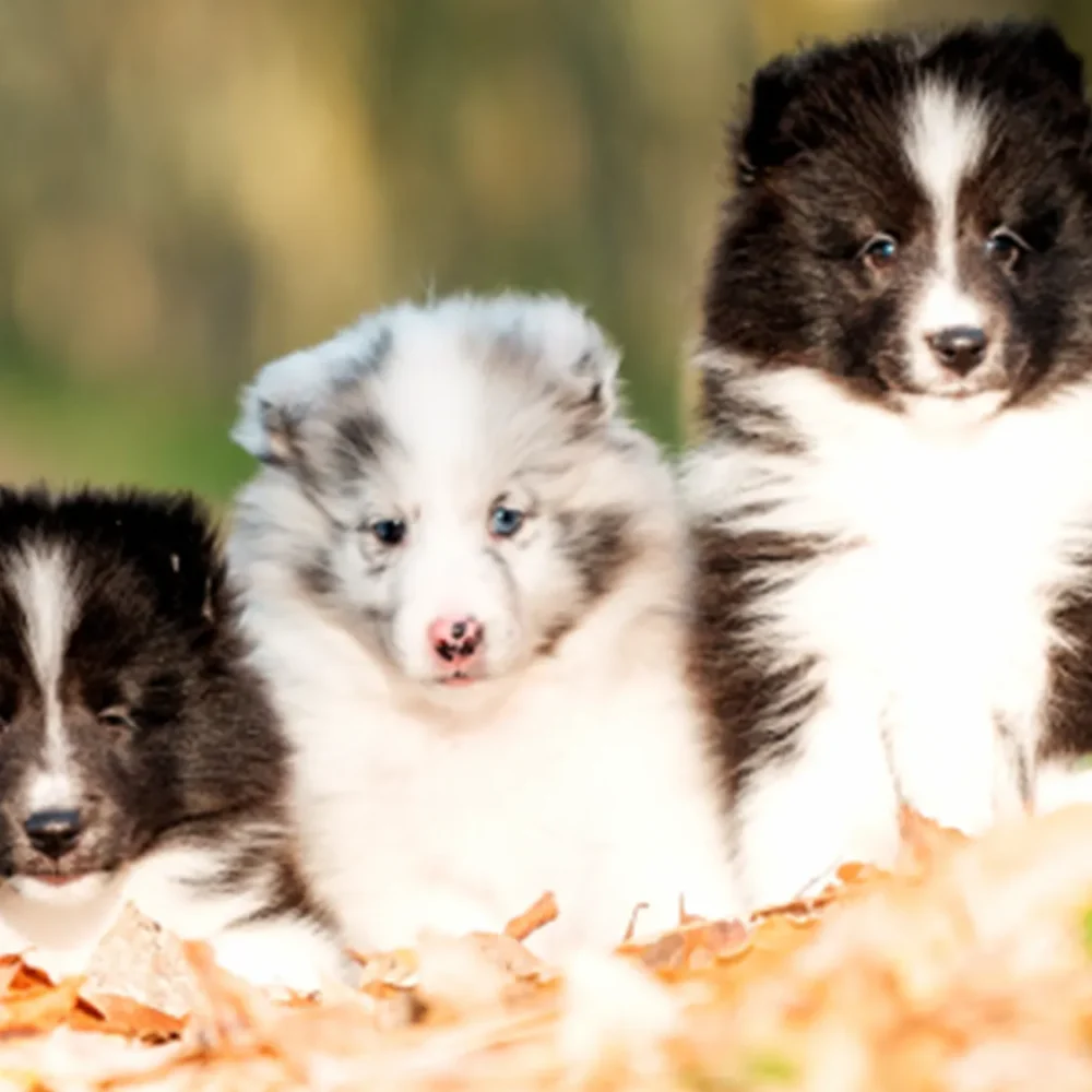 banner-img-countable-kruuse